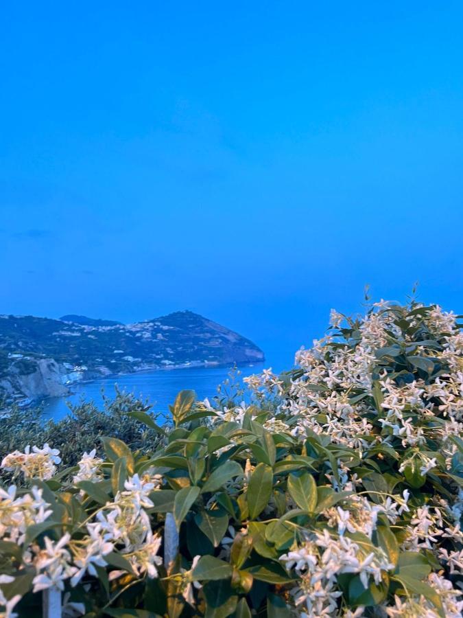 Casa Di Iorio Via Del Sole 1 Ischia Exterior photo