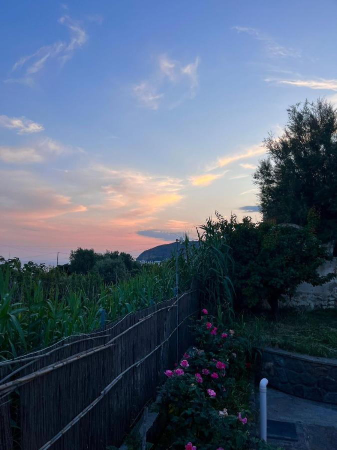 Casa Di Iorio Via Del Sole 1 Ischia Exterior photo